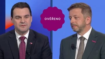 Ilustrační obrázek k Reprezentace Česka v zahraničí